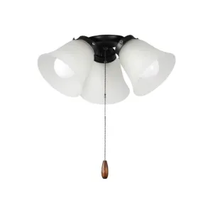 3 Lights LED Ceiling Fan Light Kit, Black Finish
