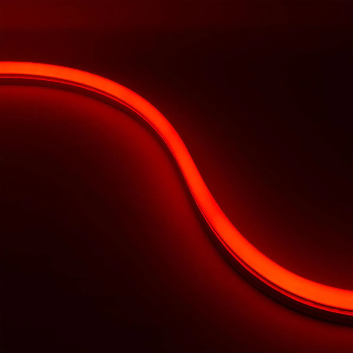 65ft Neon Blaze Flexible LED Lighting, Red, 24V, Top Bending