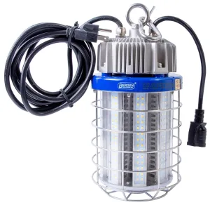 Bergen K Series K5100 Work Light, 120 to 277 VAC, 100 W, 13,000, 5000 K Color Temp :EA: QUANTITY: 1