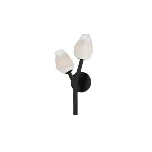 Blossom 19 in. 2 Lights LED Armed Sconce Black Finish