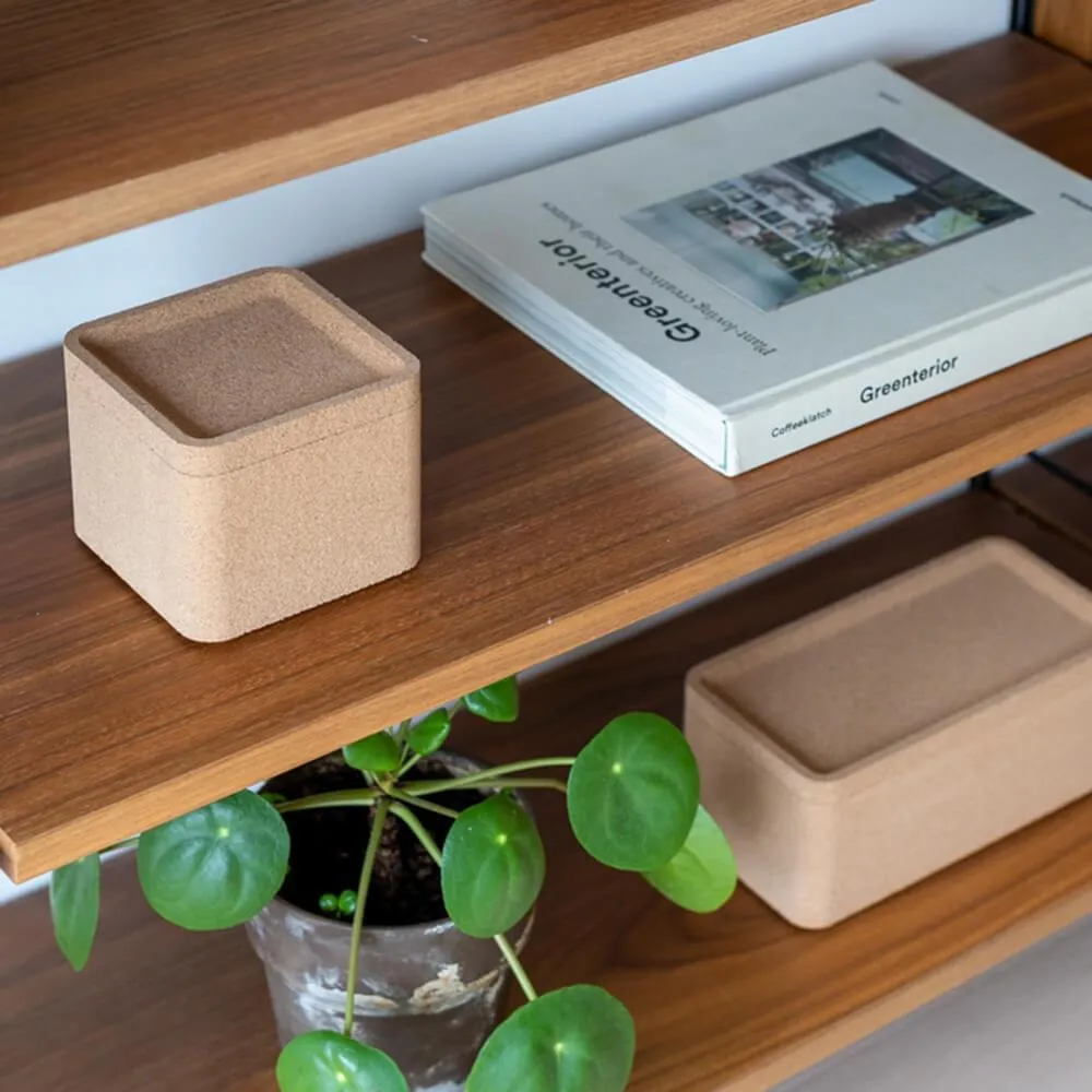 Case Furniture Trove Box