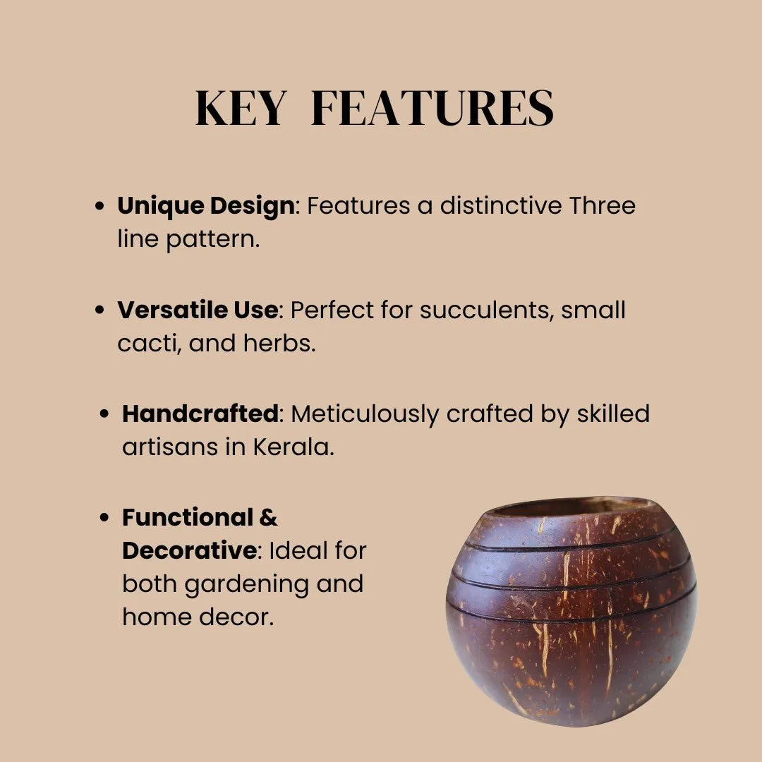Coconut Shell Three line Planter Pots | Ideal for Small Plants (Set of 1)
