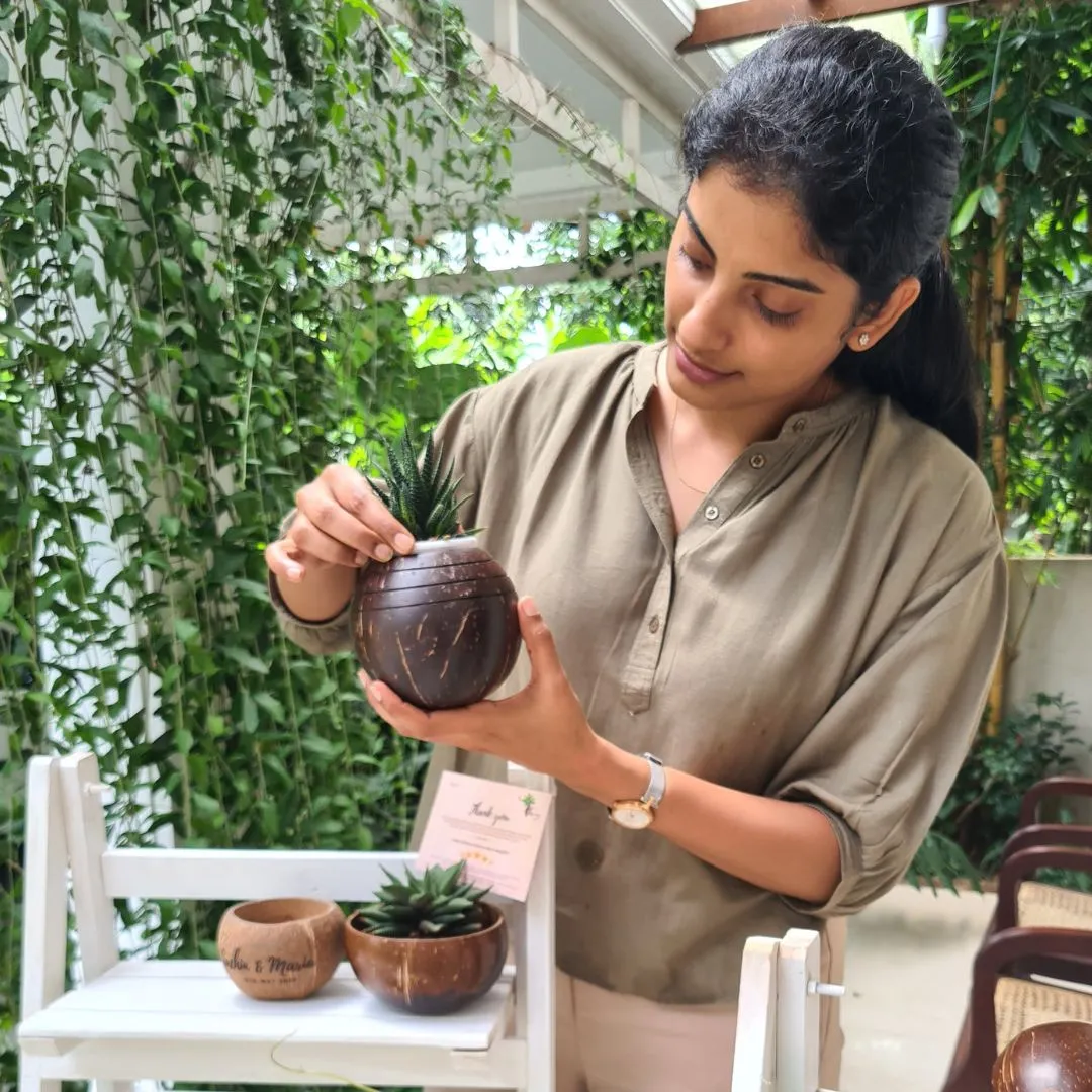 Coconut Shell Three line Planter Pots | Ideal for Small Plants (Set of 1)