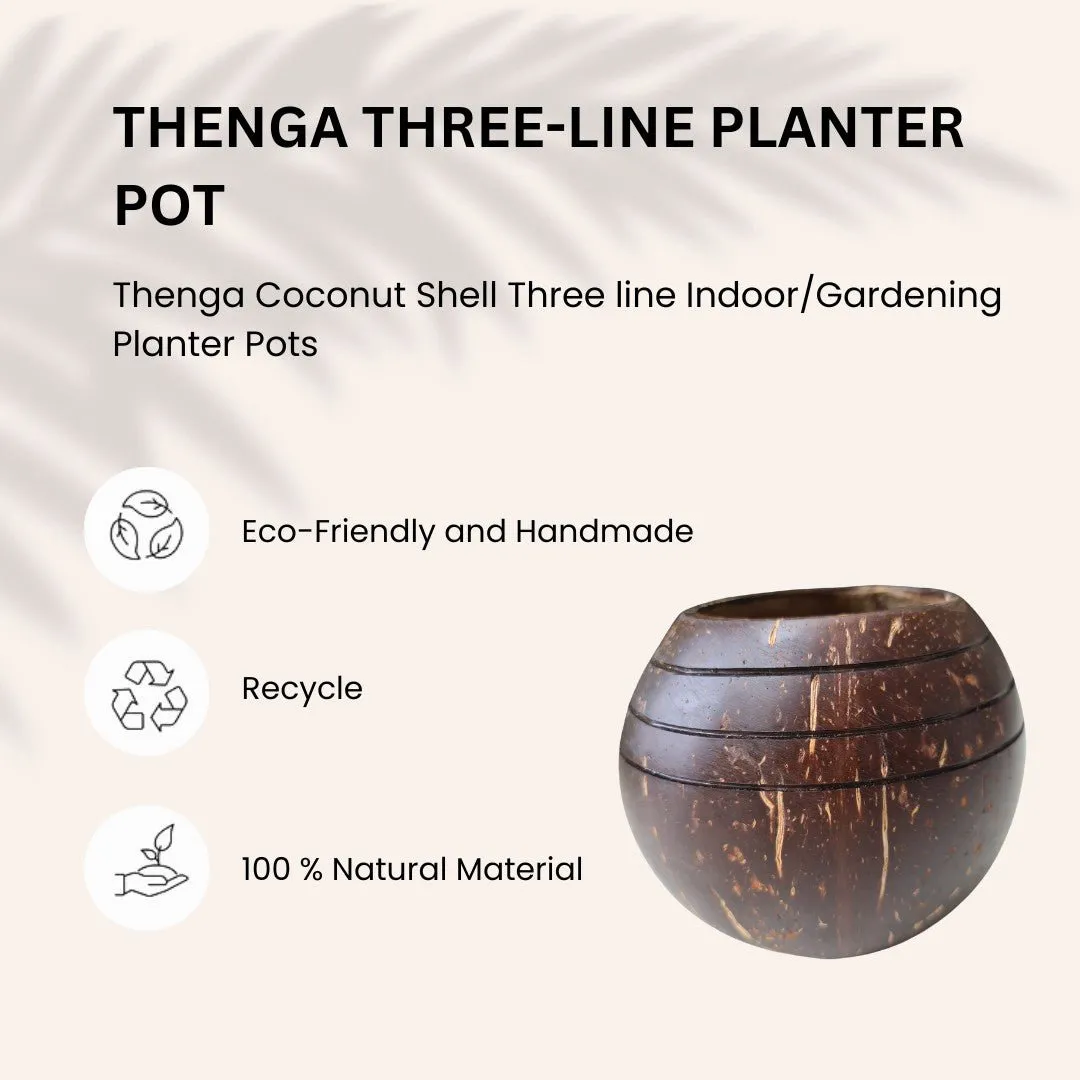 Coconut Shell Three line Planter Pots | Ideal for Small Plants (Set of 1)