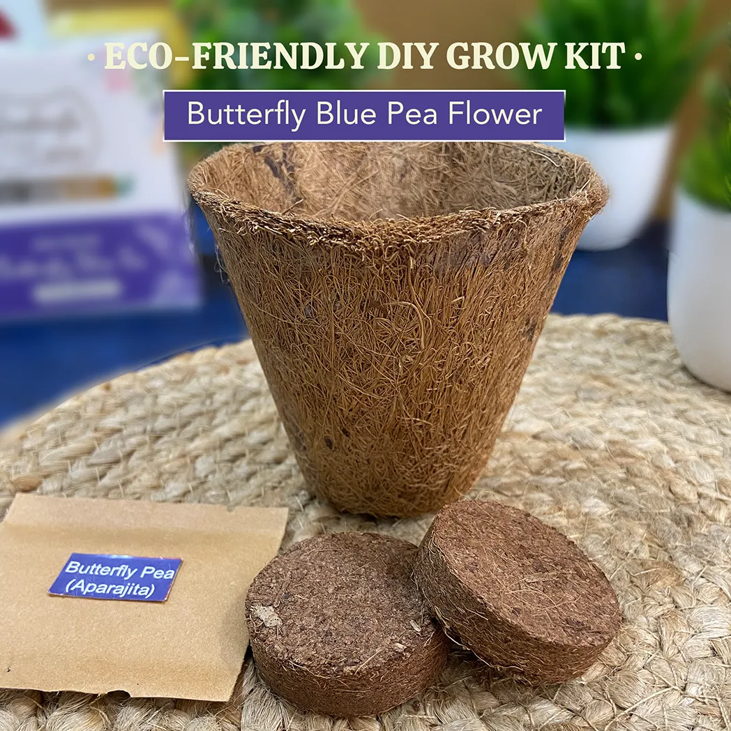 Eco-Friendly Grow Kit - Butterfly Pea Flower