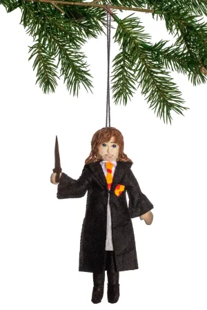 Hermione Harry Potter