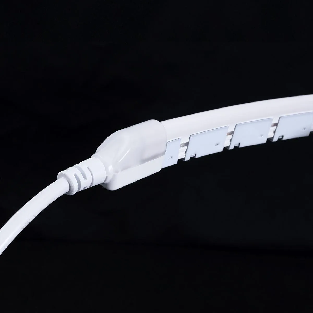 Neon BLAZE LED Neon Strip Light, 3500K, 32 feet Reel, 24V, Side Bending