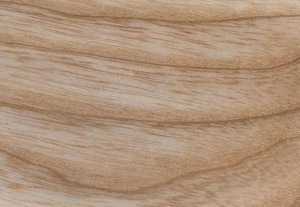 Ponti Coffee Table