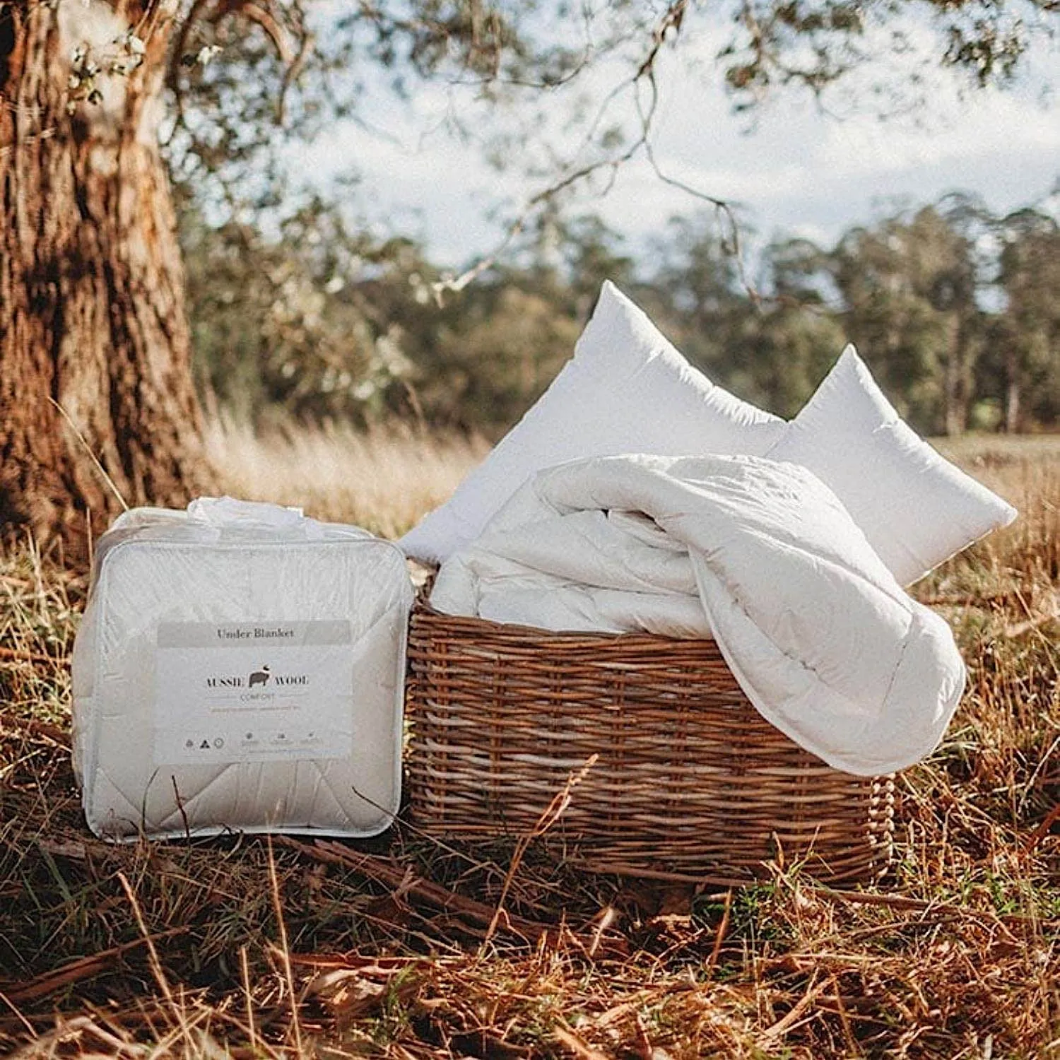 Pure Australian Wool Pillows
