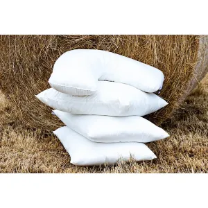 Pure Australian Wool Pillows