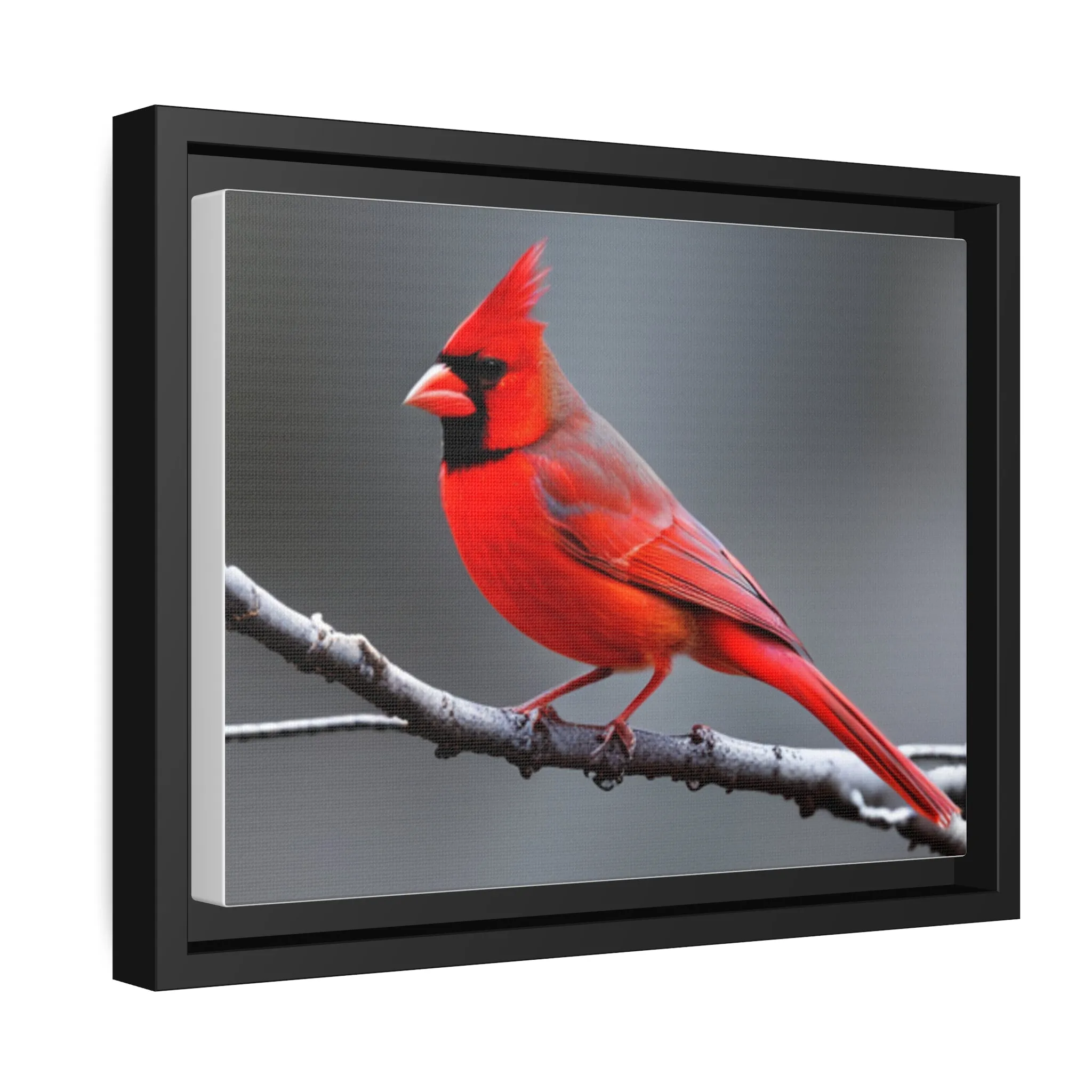 Red Cardinal Bird Matte Canvas with Black Frame