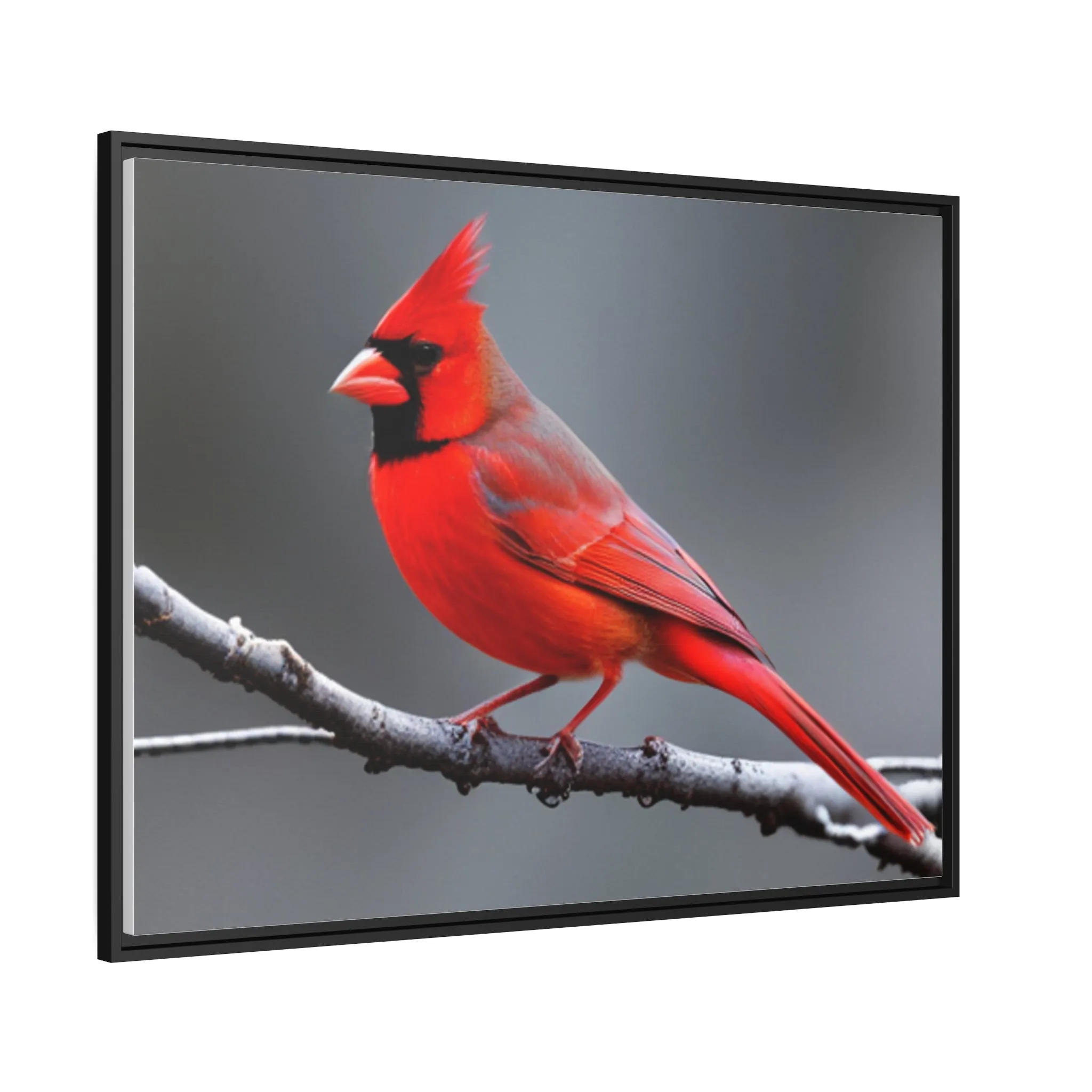 Red Cardinal Bird Matte Canvas with Black Frame