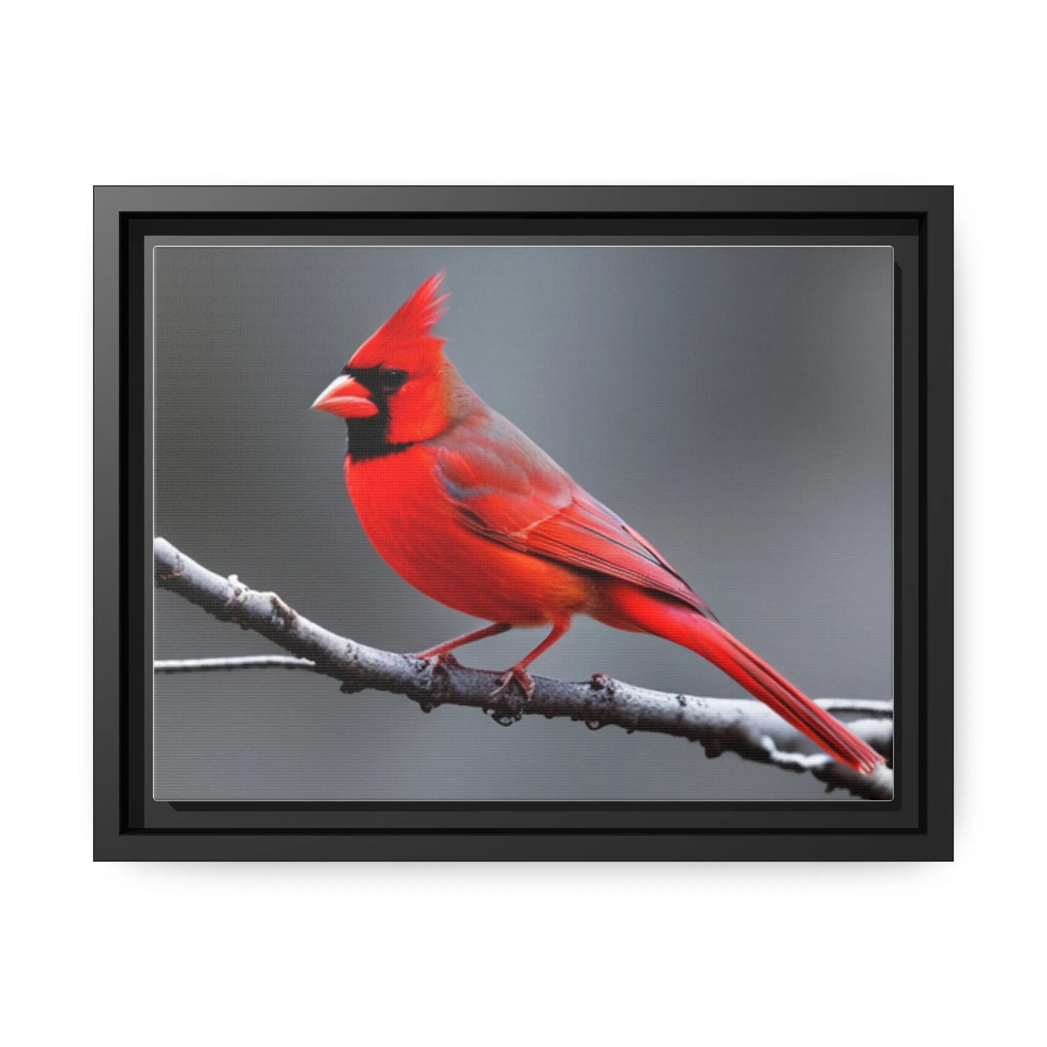 Red Cardinal Bird Matte Canvas with Black Frame