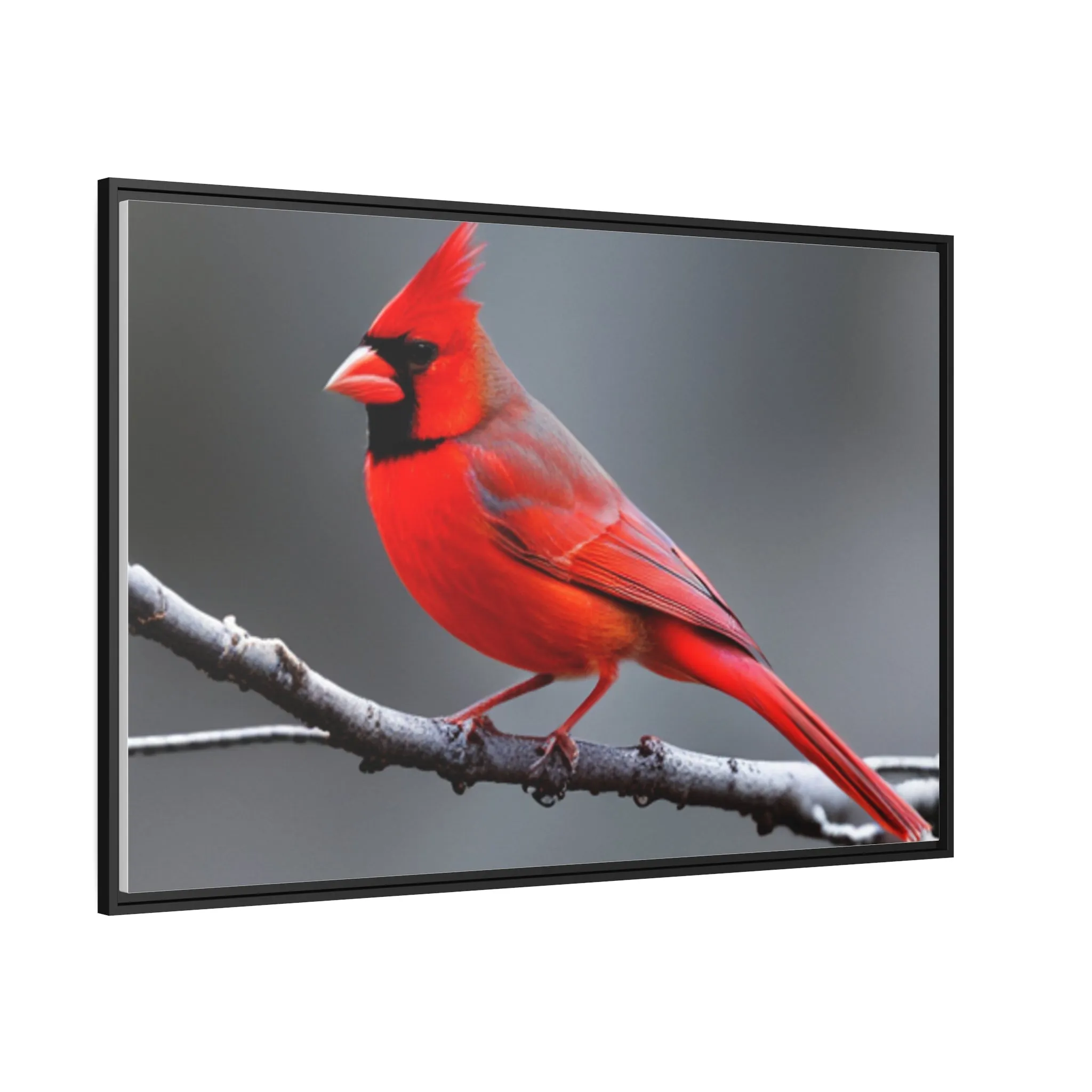 Red Cardinal Bird Matte Canvas with Black Frame