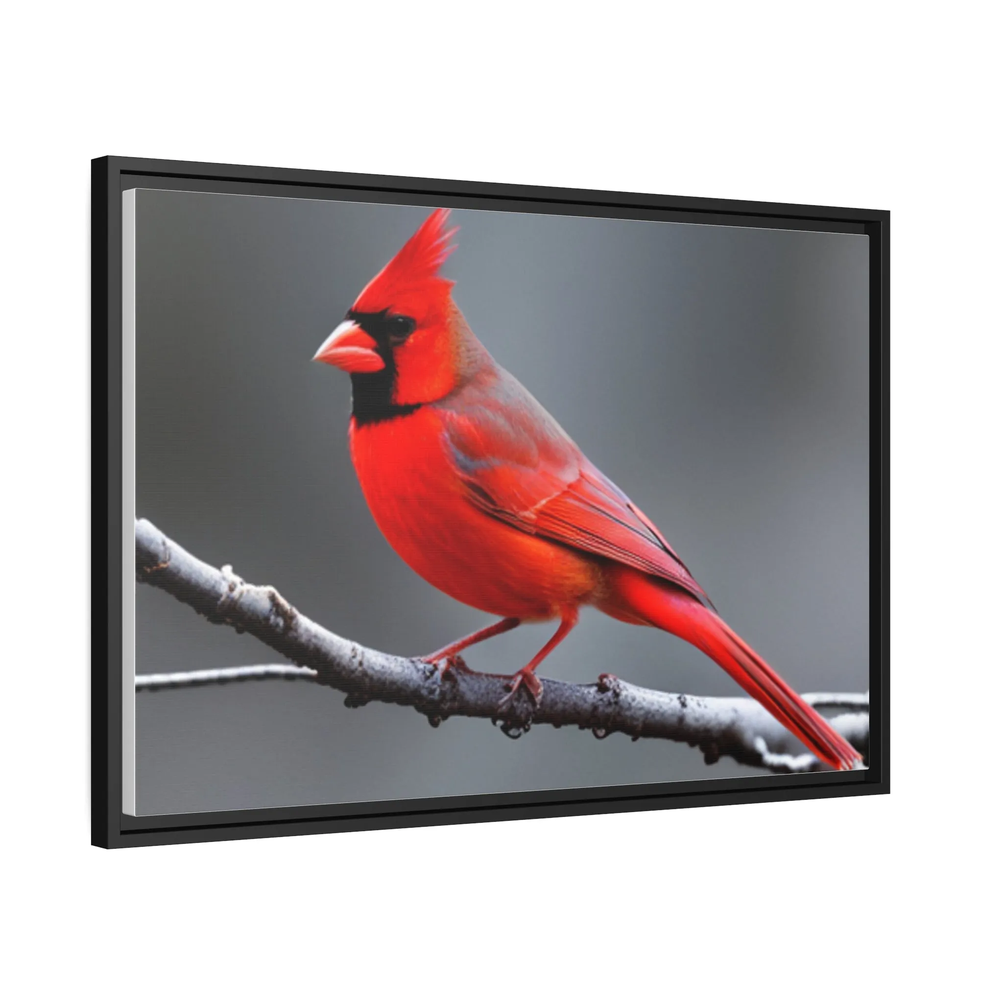 Red Cardinal Bird Matte Canvas with Black Frame