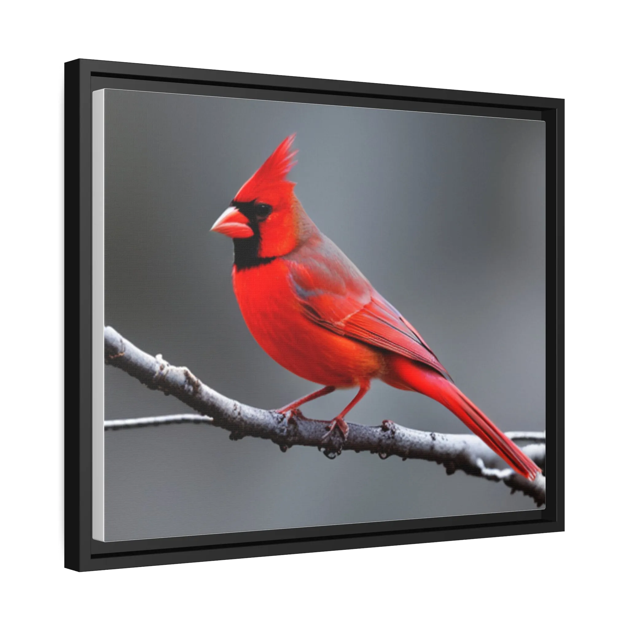 Red Cardinal Bird Matte Canvas with Black Frame