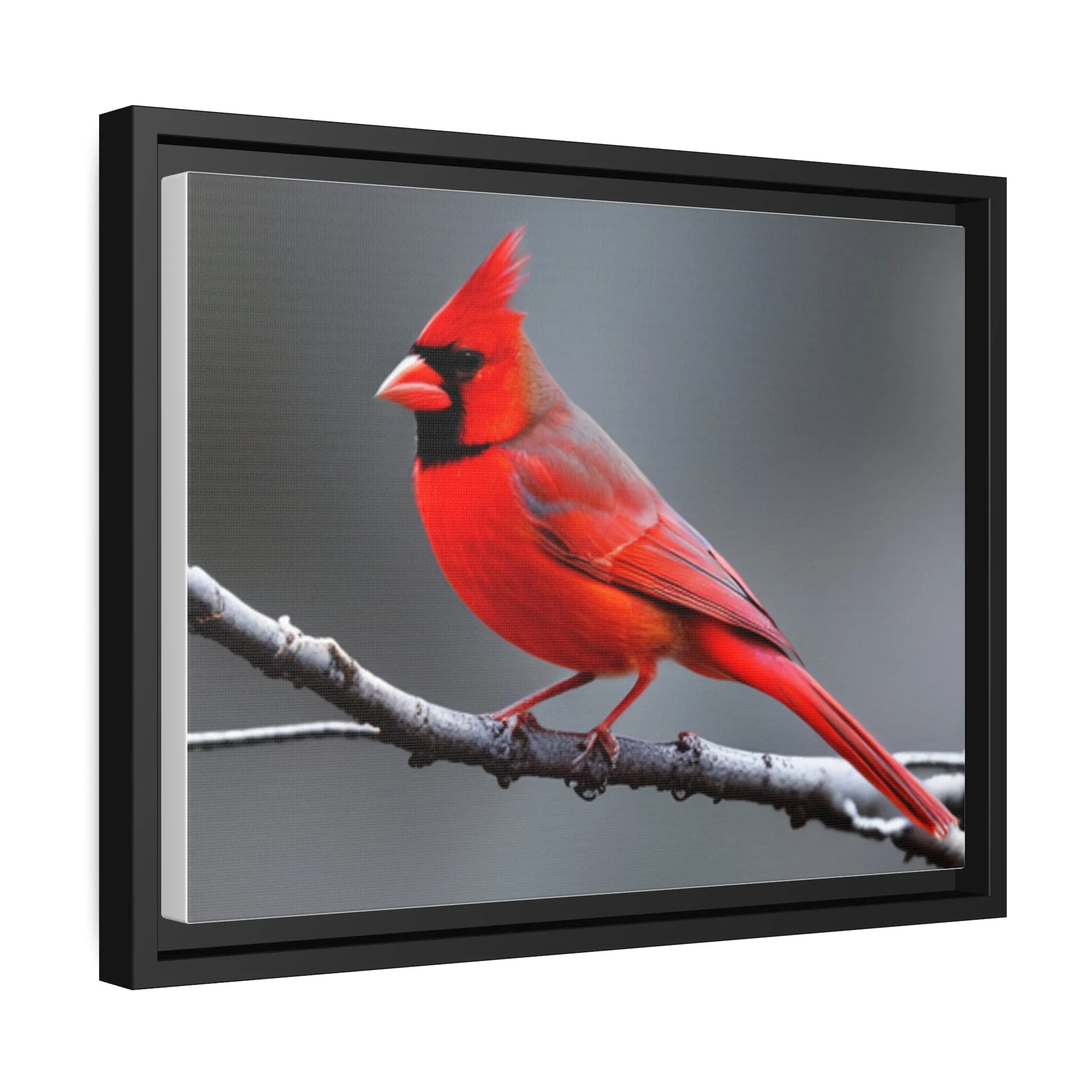 Red Cardinal Bird Matte Canvas with Black Frame