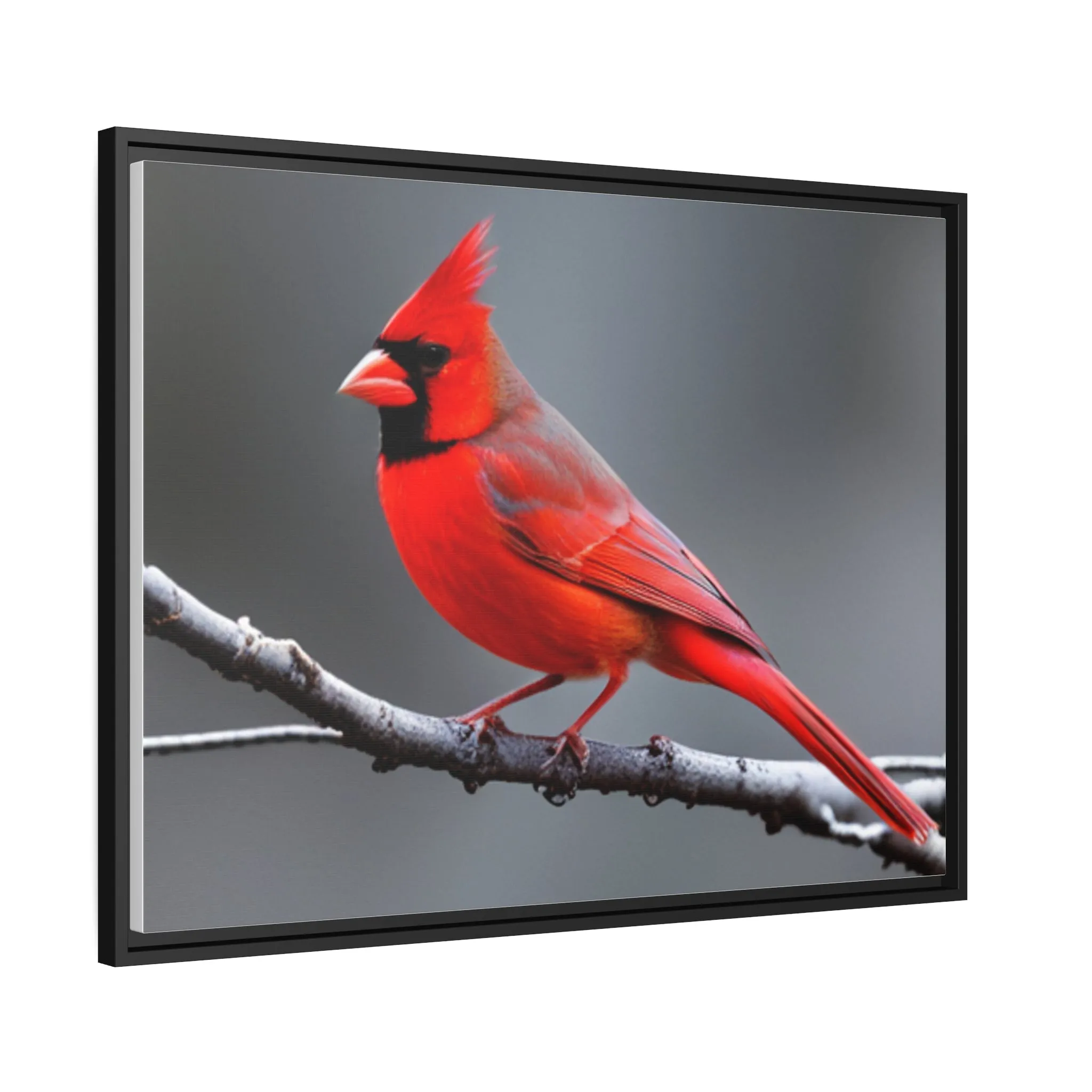 Red Cardinal Bird Matte Canvas with Black Frame