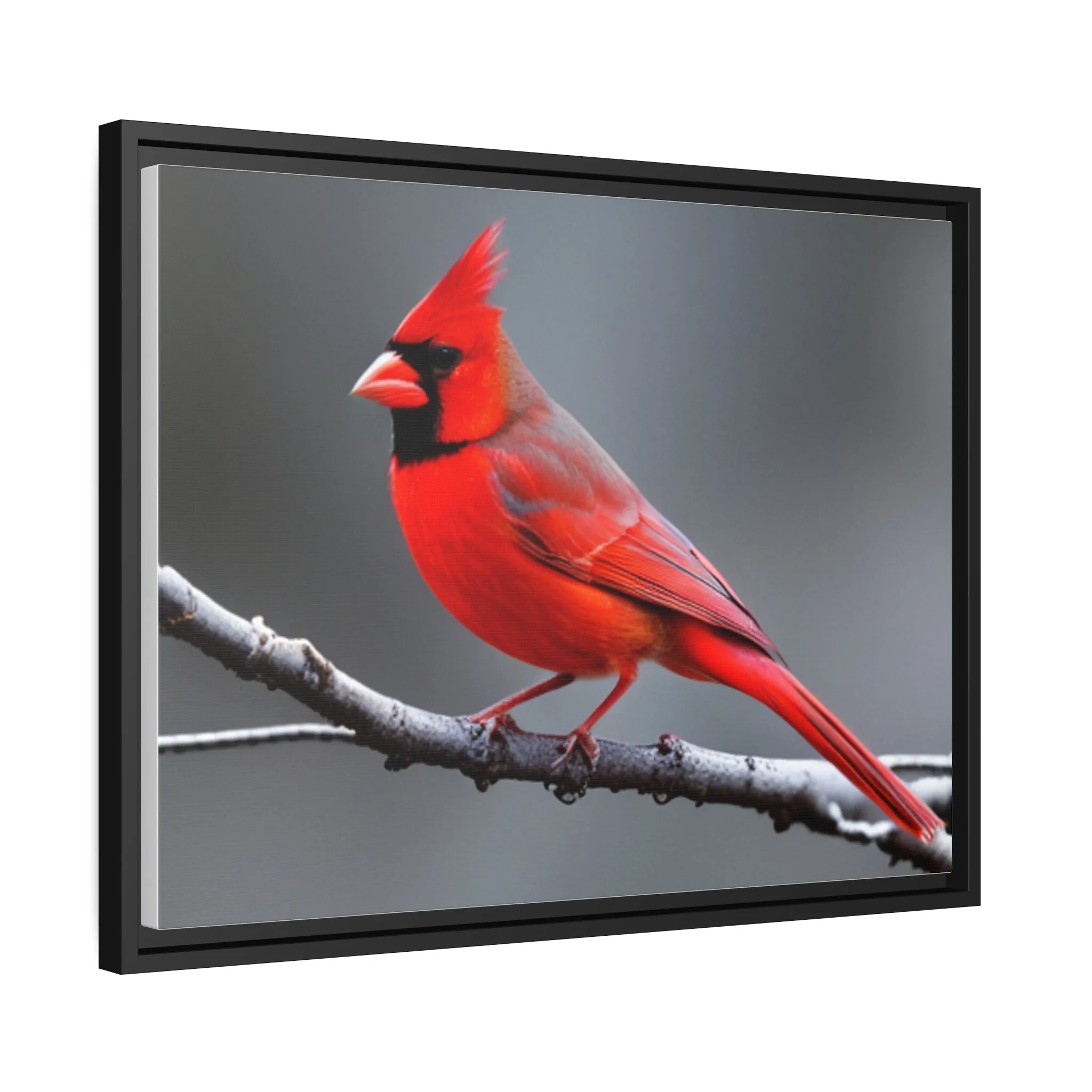 Red Cardinal Bird Matte Canvas with Black Frame