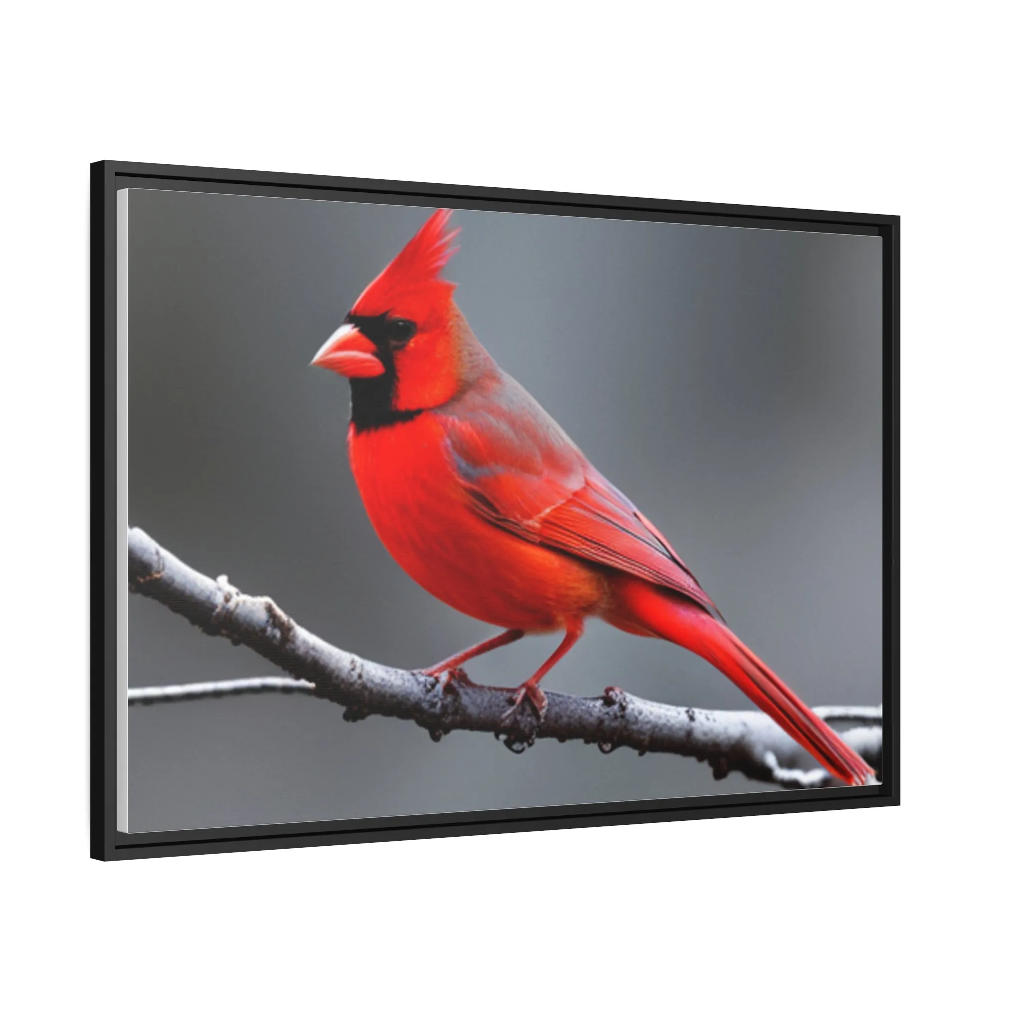 Red Cardinal Bird Matte Canvas with Black Frame