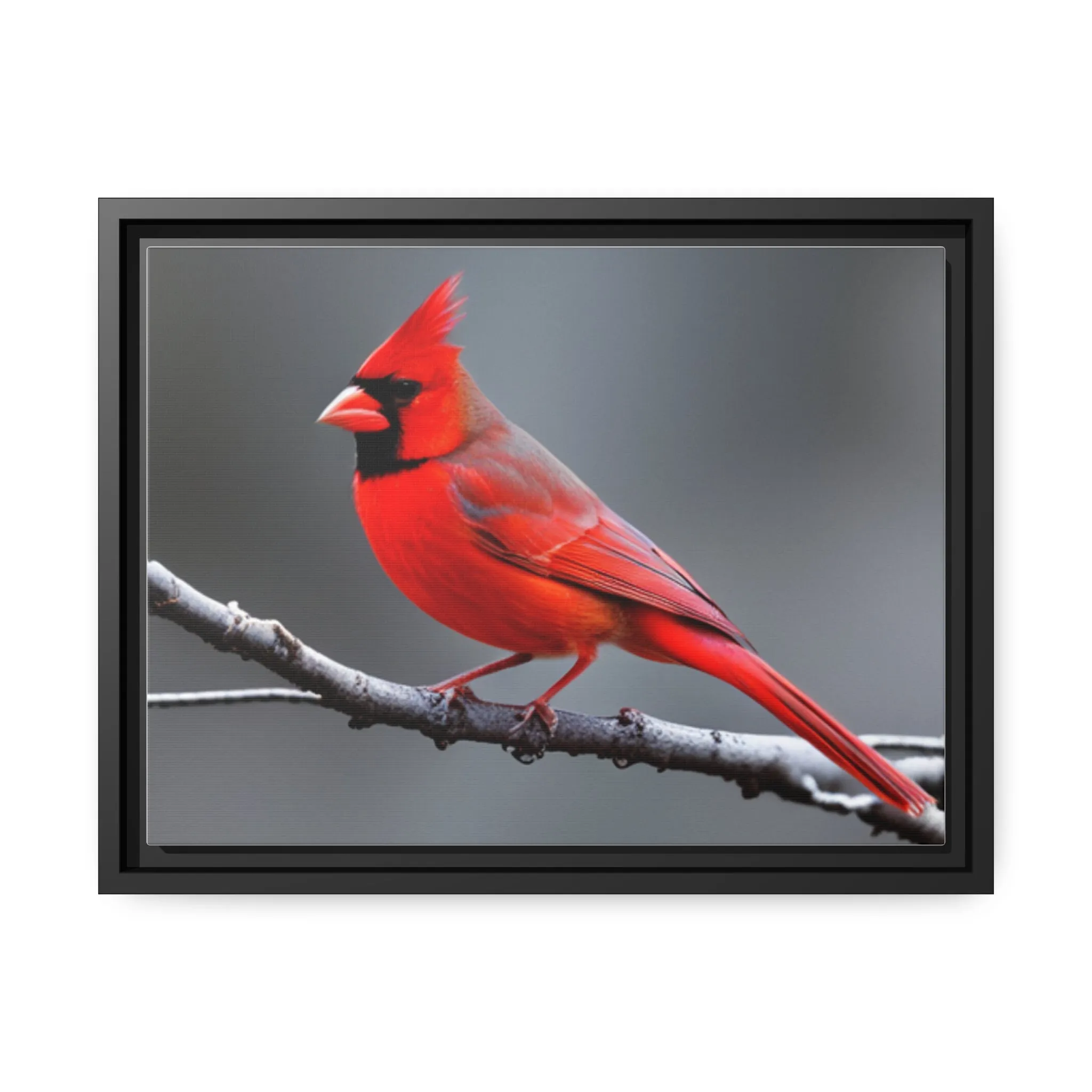 Red Cardinal Bird Matte Canvas with Black Frame