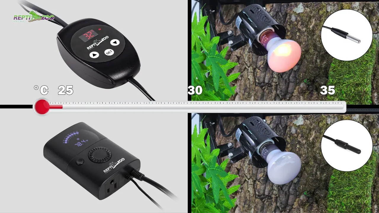 REPTIZOO PID Mini Thermostat #TC02