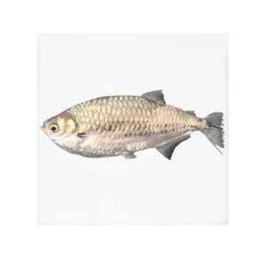 Silver Fish Face Towel