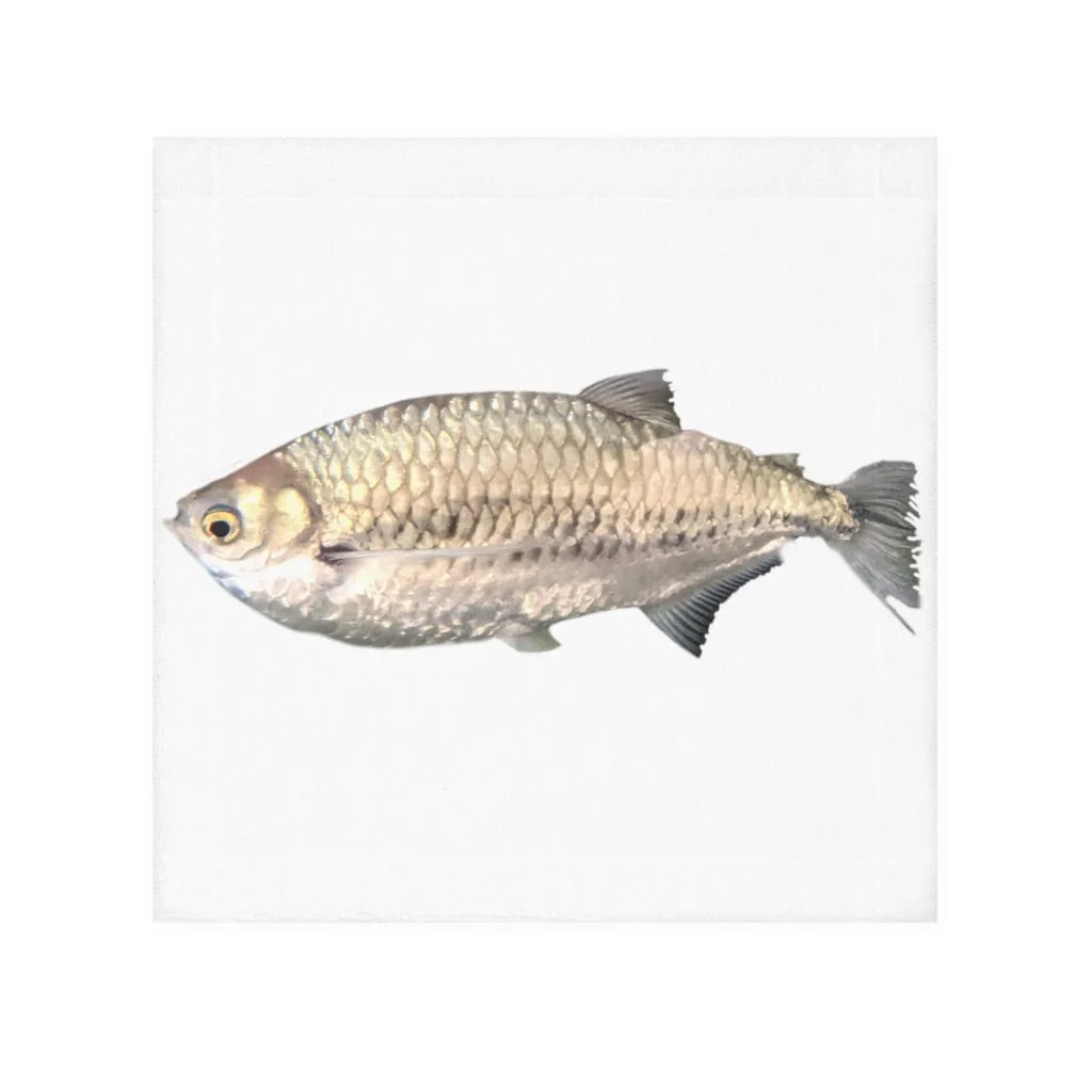 Silver Fish Face Towel