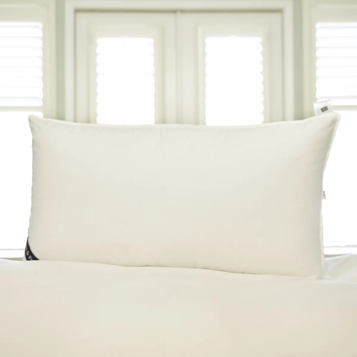 Snuggle Soft 850 Goose Down Pillow King Size - Firm