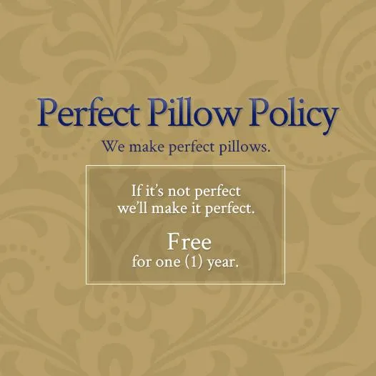 Snuggle Soft 850 Goose Down Pillow Queen Size - Extra Firm