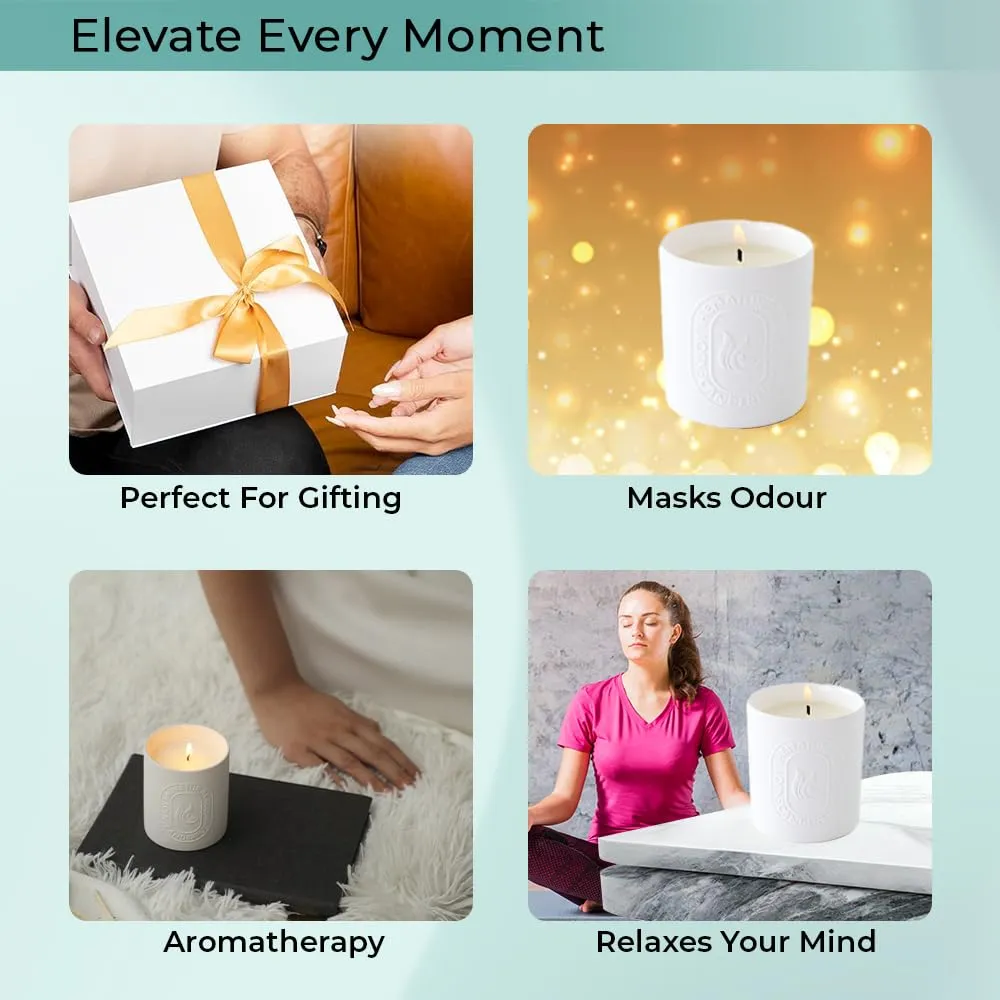 The Better Home 30 Hrs Scented Candles for Home Bedroom Decor Candles | Gift Set | Aroma Candles for Home | Wedding Gifts for Marriage Couple | Valentine Gift for Girlfriend (Golden Osmanthus)
