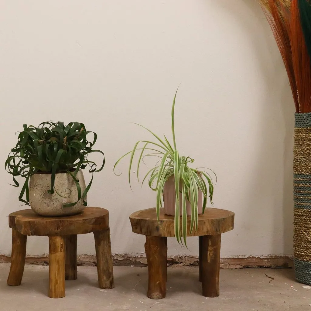 Wooden Display Tables - Sustainable Natural Teak Wood - Set of 2 - 3 Sizes